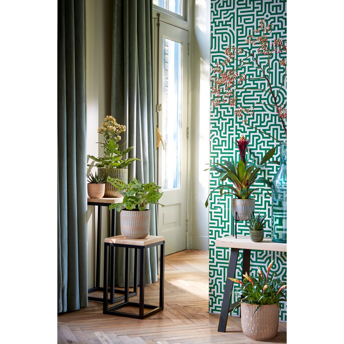 Plantentafel Hout, Metaal - Zwart