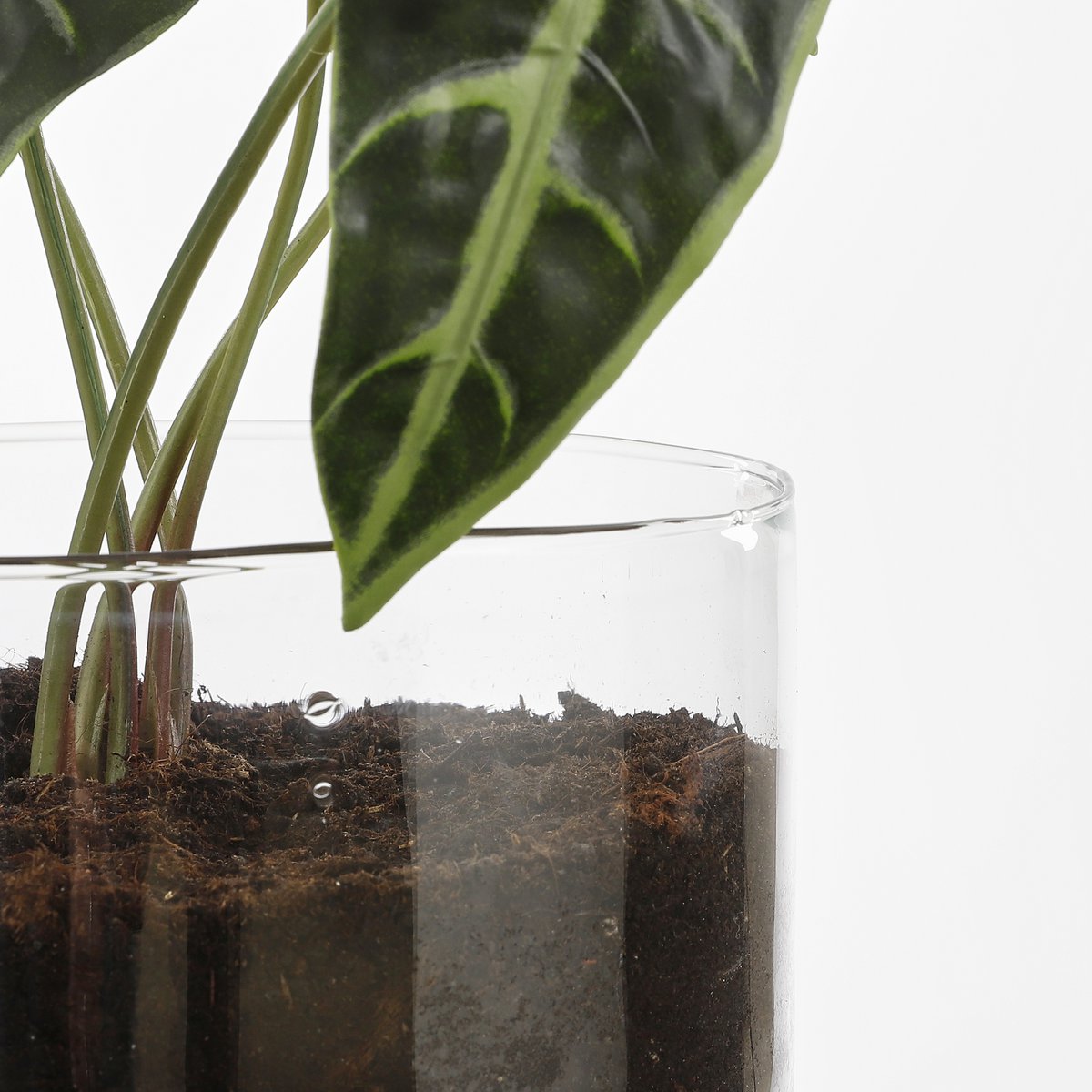 Bloempot met Bewateringssysteem Elements - H22 x Ø19 cm - Glas