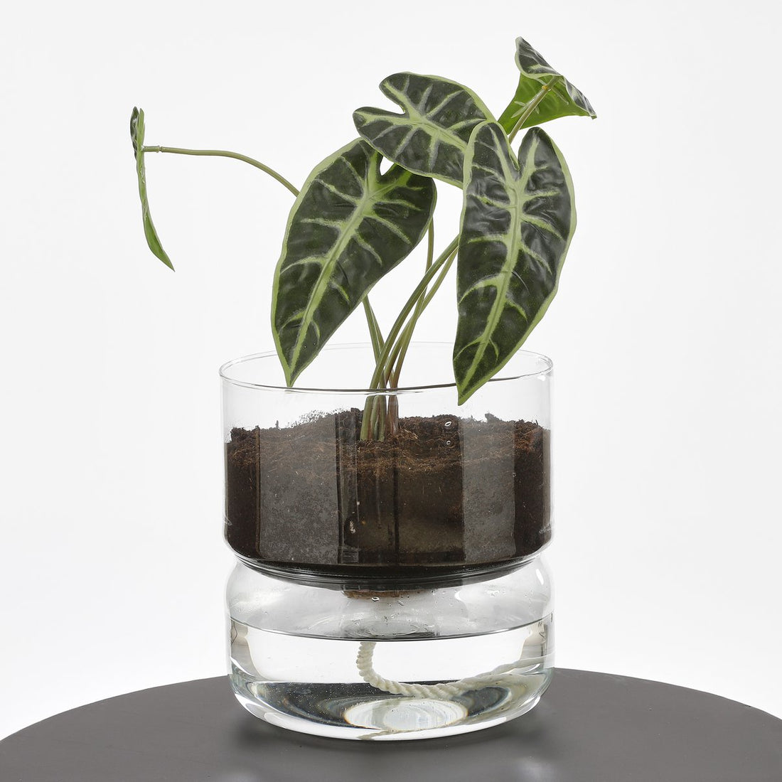 Bloempot met Bewateringssysteem Elements - H22 x Ø19 cm - Glas
