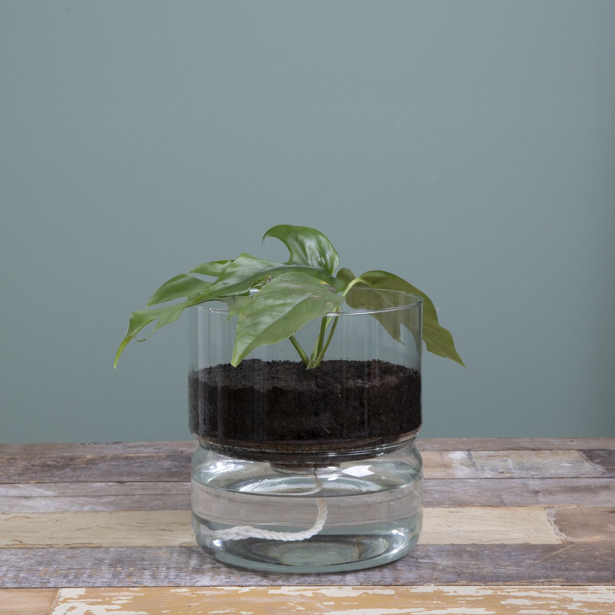 Bloempot met Bewateringssysteem Elements - H22 x Ø19 cm - Glas