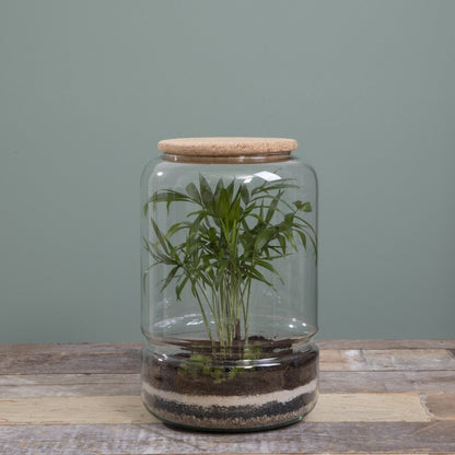 Terrarium Elements - H28 x Ø19 cm - Glas